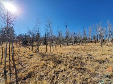424 Loon Ln, Como, CO 80432 photo 23