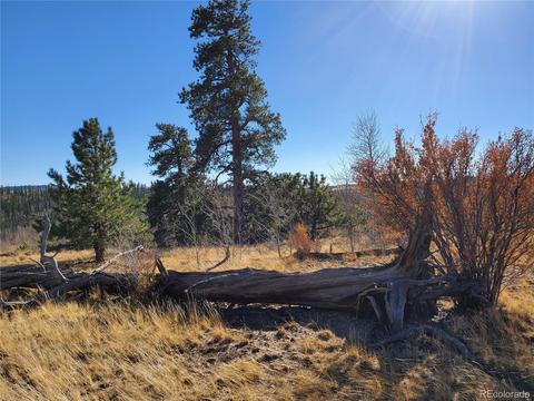 424 Loon Ln, Como, CO 80432 photo 21