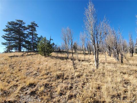 424 Loon Ln, Como, CO 80432 photo 24