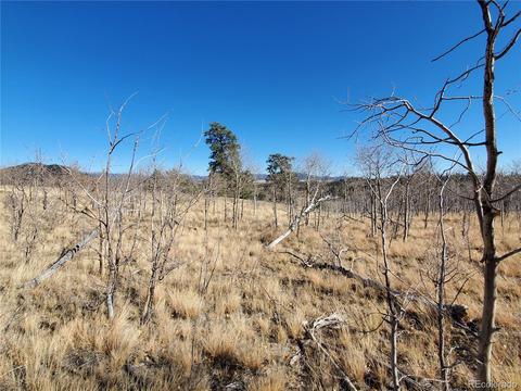 424 Loon Ln, Como, CO 80432 photo 2
