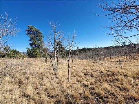 424 Loon Ln, Como, CO 80432 photo 5