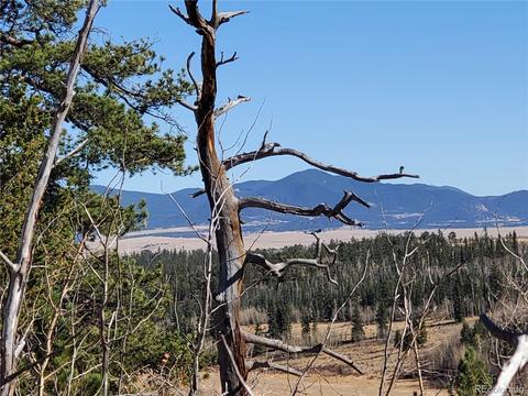 424 Loon Ln, Como, CO 80432 photo 8