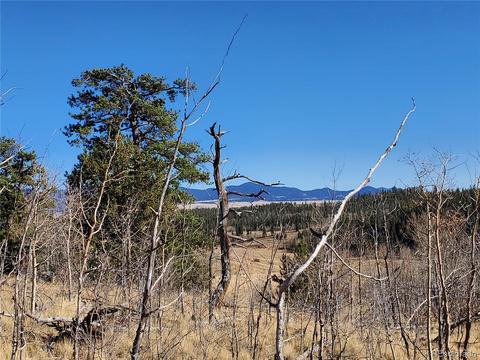 424 Loon Ln, Como, CO 80432 photo 7