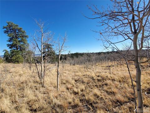 424 Loon Ln, Como, CO 80432 photo 6