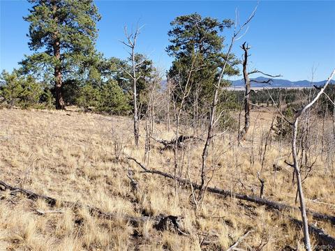424 Loon Ln, Como, CO 80432 photo 10