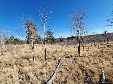 424 Loon Ln, Como, CO 80432 photo 3