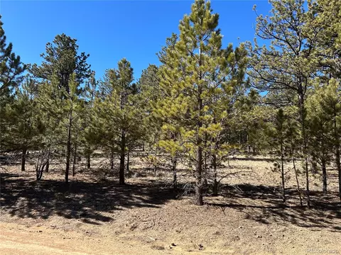 147 Haystack Rd, Hartsel, CO 80449 photo 16