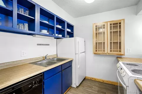 76 E Meadow Mile #2, Fraser, CO 80442 photo 13