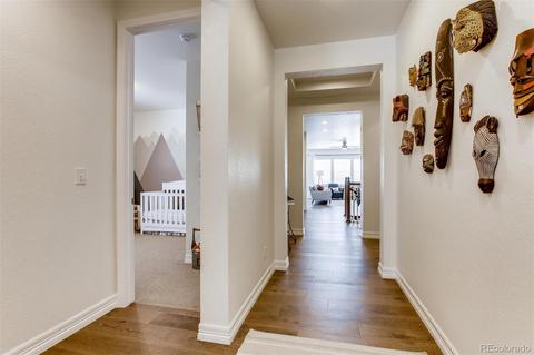 14914 Studebaker Pl, Parker, CO 80134 photo 3