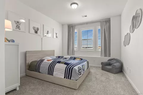 Bedroom - 3055 Blithe Pt, Castle Rock, CO 80108 photo 5 of 8