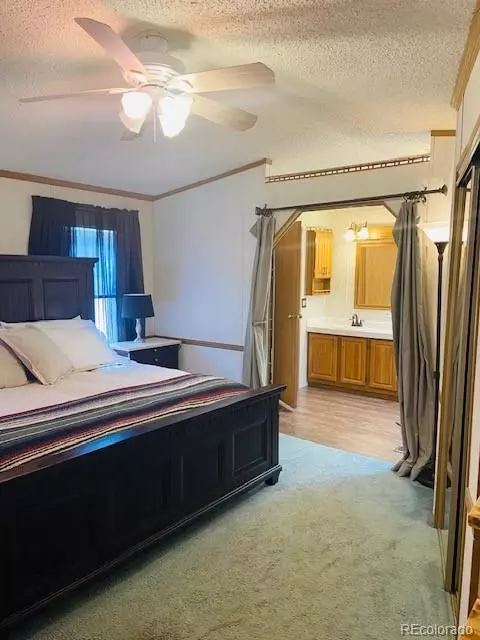 54 Windy Gap Loop, Empire, CO 80438 photo 19