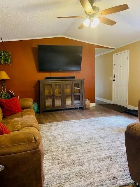 54 Windy Gap Loop, Empire, CO 80438 photo 10