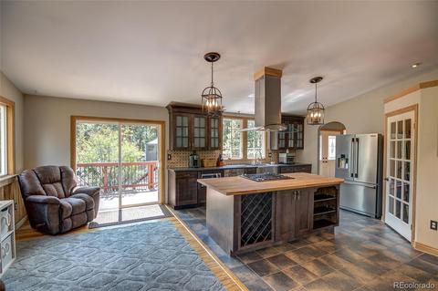 83 Hudson Rd, Pine, CO 80470 photo 7