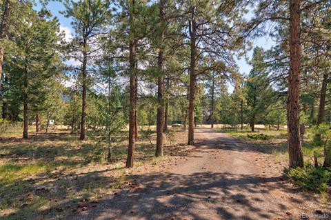 83 Hudson Rd, Pine, CO 80470 photo 40