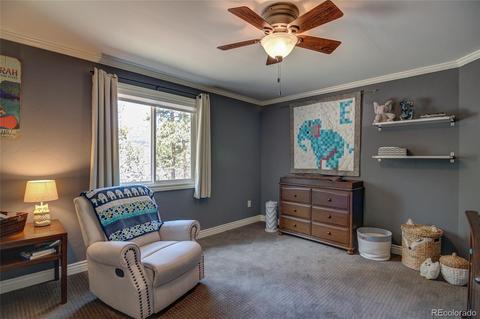83 Hudson Rd, Pine, CO 80470 photo 25
