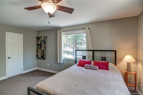 83 Hudson Rd, Pine, CO 80470 photo 23