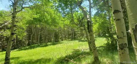 lot3085 Henderson Ln, Fort Garland, CO 81133