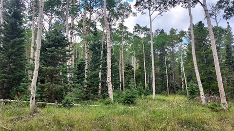 3079 Henderson Dr, Fort Garland, CO 81133