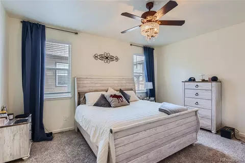 1320 Copeland Falls Rd, Windsor, CO 80550 photo 15