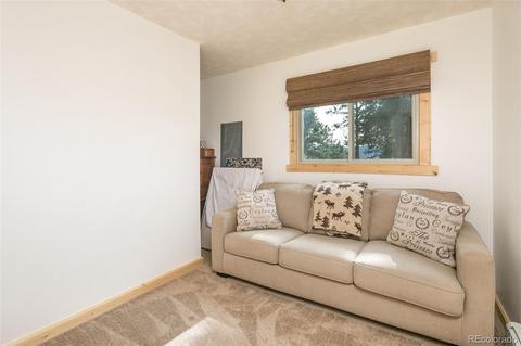 289 Double Tree Rd, Bailey, CO 80421 photo 15