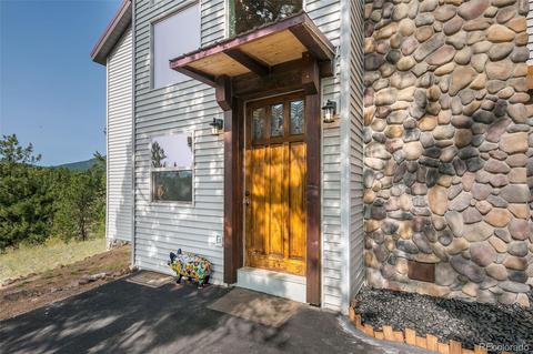 289 Double Tree Rd, Bailey, CO 80421 photo 9