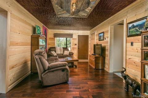 289 Double Tree Rd, Bailey, CO 80421 photo 11
