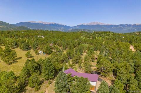 289 Double Tree Rd, Bailey, CO 80421 photo 39