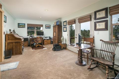 289 Double Tree Rd, Bailey, CO 80421 photo 17