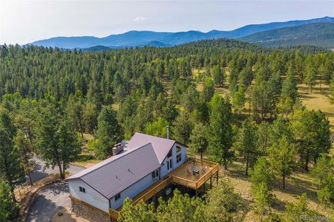 289 Double Tree Rd, Bailey, CO 80421 photo 1