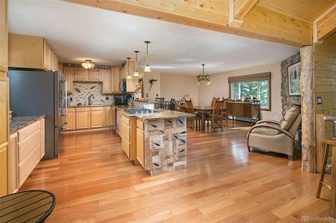 289 Double Tree Rd, Bailey, CO 80421 photo 20