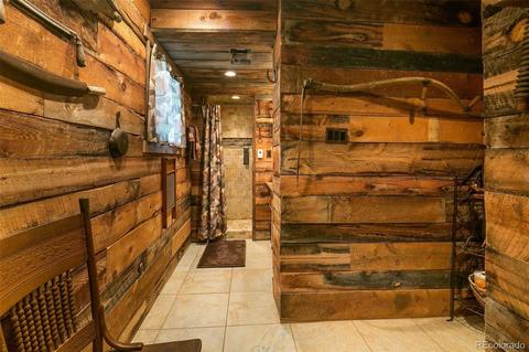 289 Double Tree Rd, Bailey, CO 80421 photo 13
