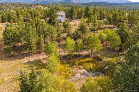 289 Double Tree Rd, Bailey, CO 80421 photo 38