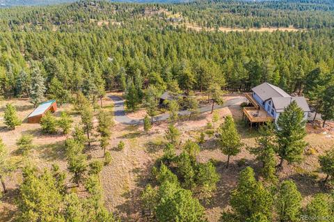 289 Double Tree Rd, Bailey, CO 80421 photo 37