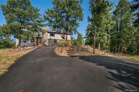 289 Double Tree Rd, Bailey, CO 80421 photo 31