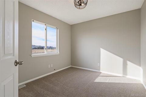 21538 E 38th Pl, Denver, CO 80249 photo 19