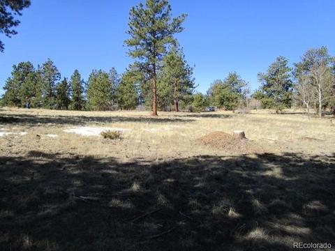 1638 Tapadero Rd, Bailey, CO 80421 photo 6