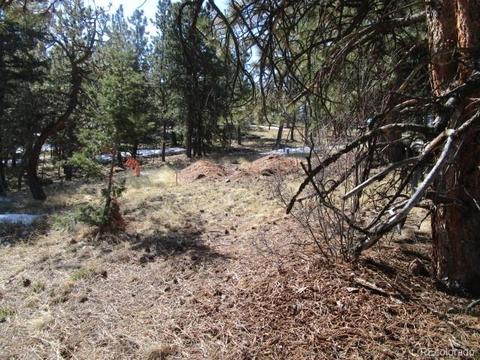 1638 Tapadero Rd, Bailey, CO 80421 photo 12