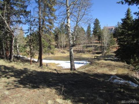 1638 Tapadero Rd, Bailey, CO 80421 photo 11