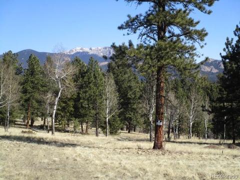 1638 Tapadero Rd, Bailey, CO 80421 photo 1