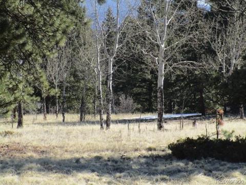 1638 Tapadero Rd, Bailey, CO 80421 photo 2