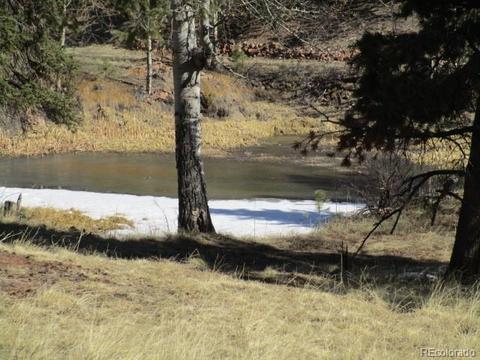 1638 Tapadero Rd, Bailey, CO 80421 photo 9