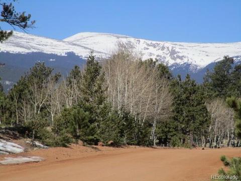 1638 Tapadero Rd, Bailey, CO 80421 photo 4