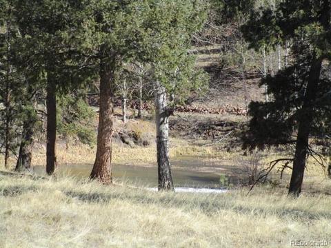 1638 Tapadero Rd, Bailey, CO 80421 photo 7