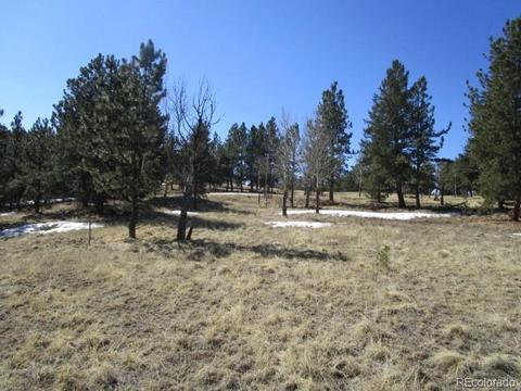1638 Tapadero Rd, Bailey, CO 80421 photo 10