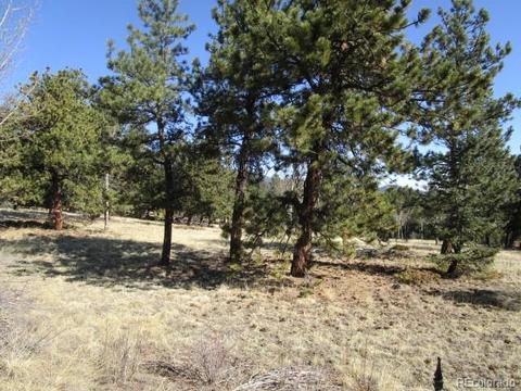 1638 Tapadero Rd, Bailey, CO 80421 photo 3