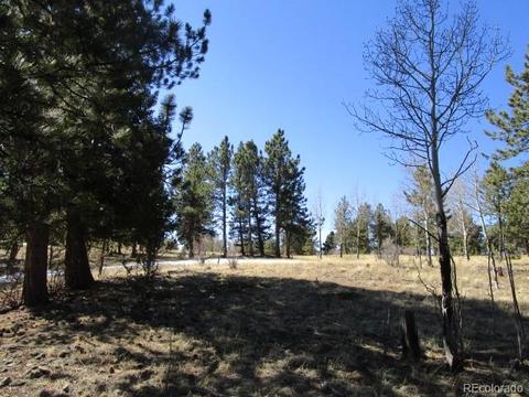 1638 Tapadero Rd, Bailey, CO 80421 photo 13