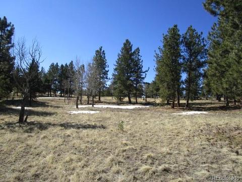 1638 Tapadero Rd, Bailey, CO 80421 photo 8