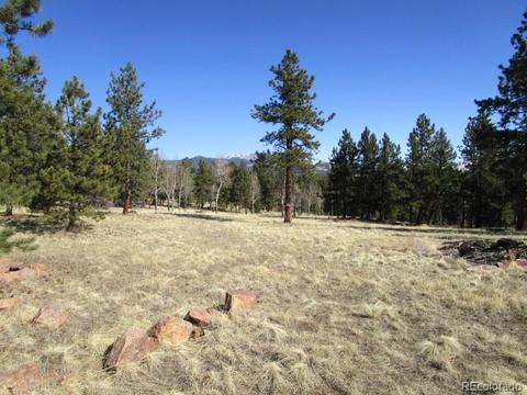1638 Tapadero Rd, Bailey, CO 80421 photo 5