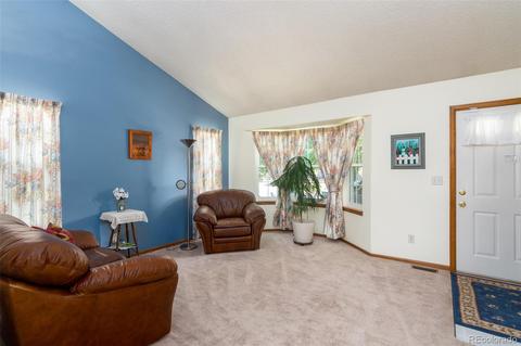 3702 E 99th Pl, Thornton, CO 80229 photo 4