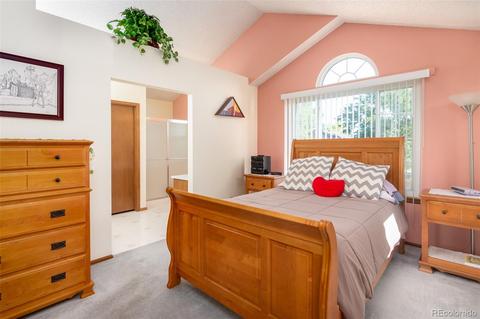 3702 E 99th Pl, Thornton, CO 80229 photo 13